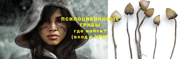 ешки Алзамай